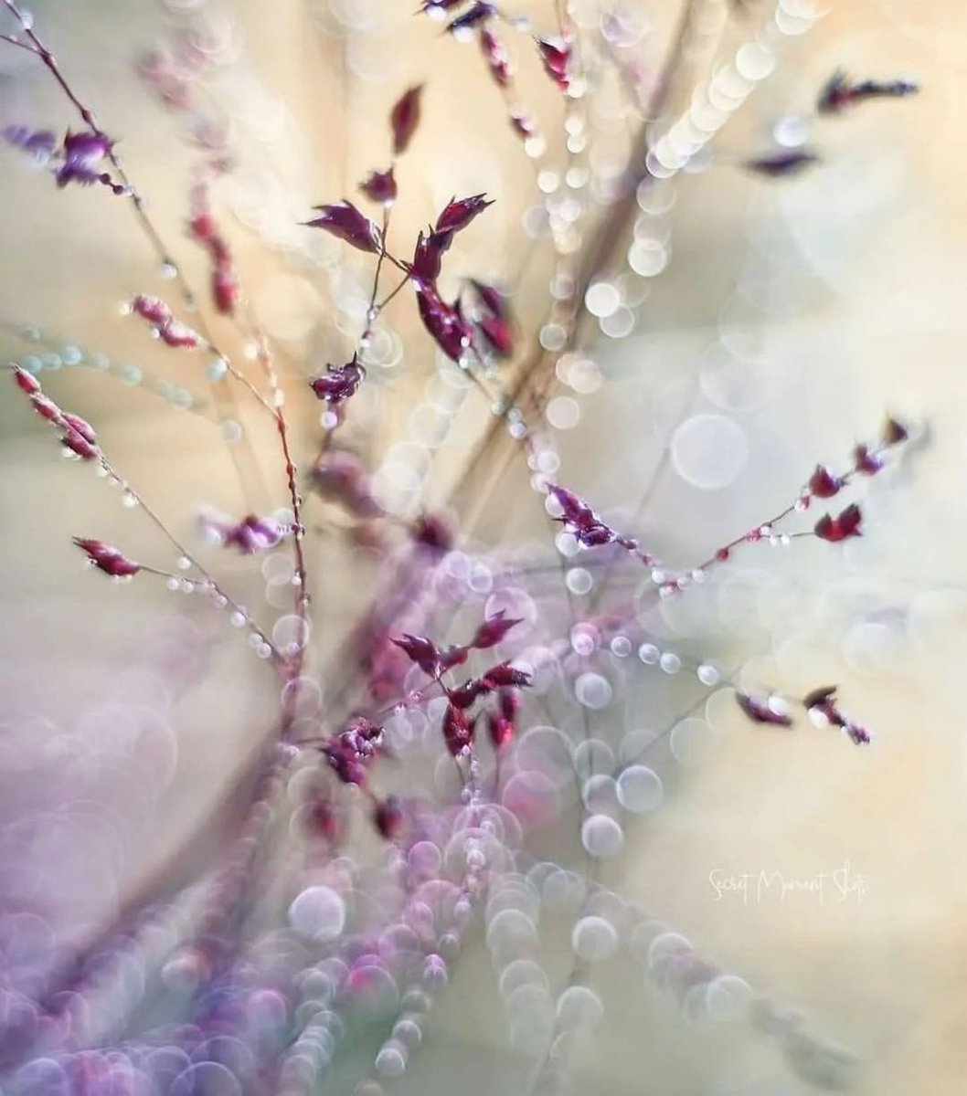 Miep51082958's tweet image. #Fragile