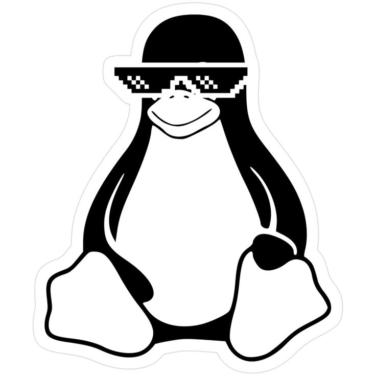 sysxplore's tweet image. Life is best lived in the shell🐚🐧