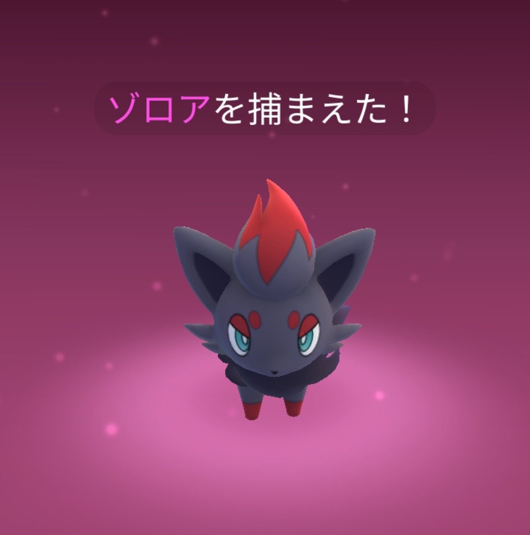 カルダモンちゃん tweet media