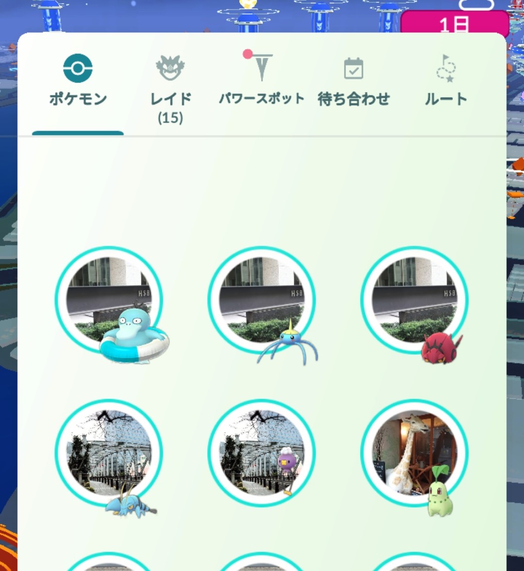 カルダモンちゃん tweet media