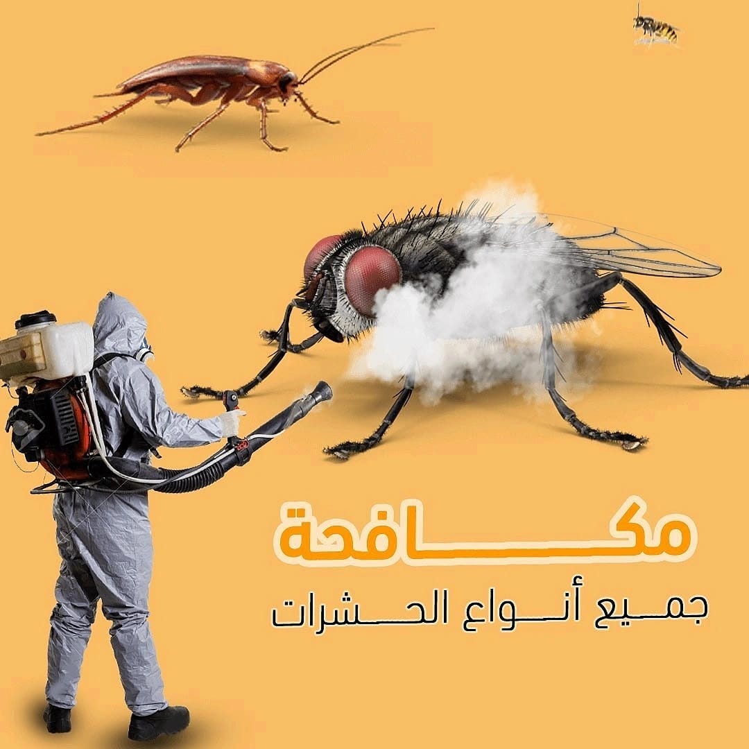 Rwfk66's tweet photo. #من_يلزم_الاستغفار_يجد_النجاح

شركة تنظيف كنب موكيت بالرياض
بالخرج 🇸🇦💯

تنظيف شقق فلل بيوت منازل💥

تنظيف مكيفات مجالس مكاتب

تنظيف 💥خزانات وعزل واستراحات

مكافحة حشرات تعقيم منازل

نقل عفش فك وتركيب💯

تخزين أثاث 💢💯

كشف 🌹تسربات المياه 
تسليك مجاري وبيارات
تركيب طارد حمام https://t.co/corSXAMIbz