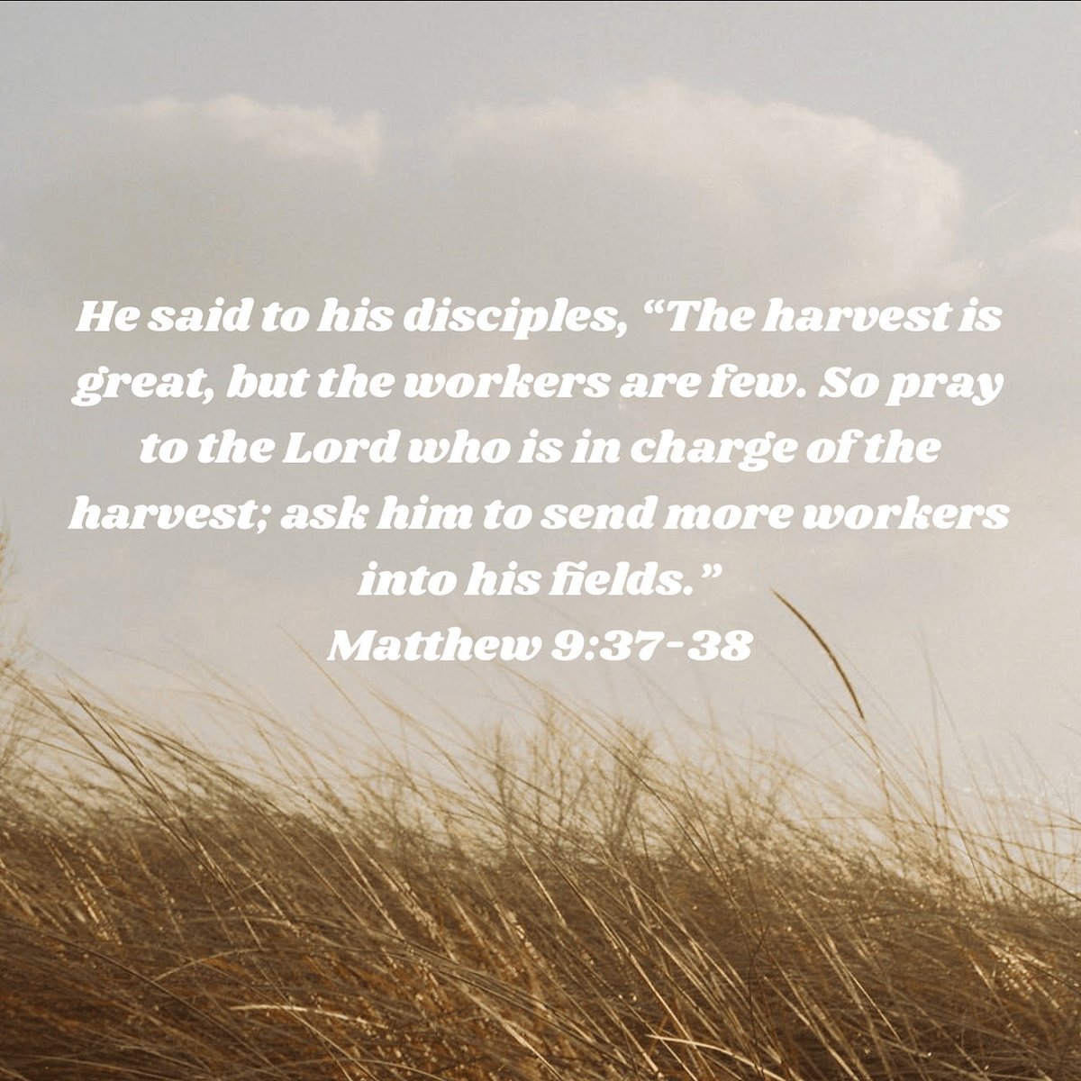 Lukas Haworth tweet media