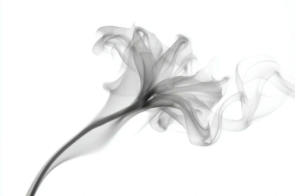 azed_ai's tweet image. Prompt share: Smoke Form Photography

💬Prompt:
A [shape/form] made of soft, flowing smoke, captured against a [background type]. Wisps curl gracefully to create a [style/adjective] structure with translucent edges and subtle motion. High-resolution, clean composition,…