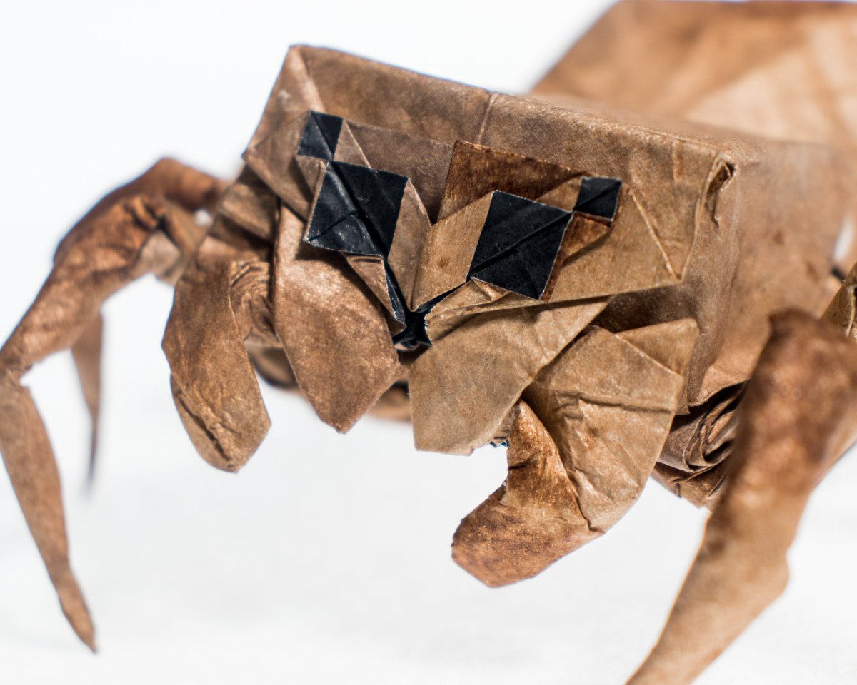 bodo_ori's tweet image. Jumping spider, designed and folded by me. 
55x55 cm Kumo-foil-tissue (applied partially to save thickness) 
22.5 degrees