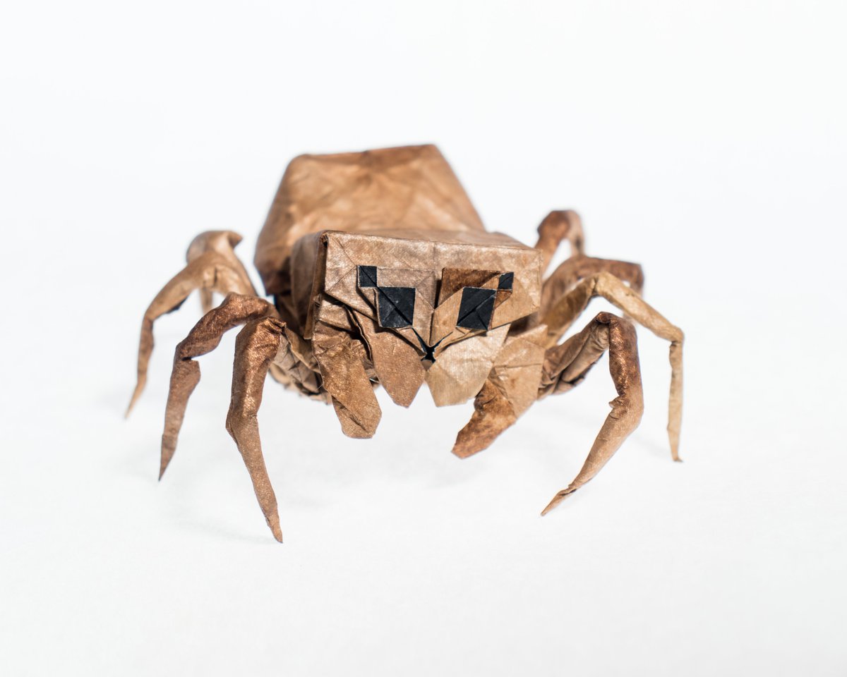 bodo_ori's tweet image. Jumping spider, designed and folded by me. 
55x55 cm Kumo-foil-tissue (applied partially to save thickness) 
22.5 degrees