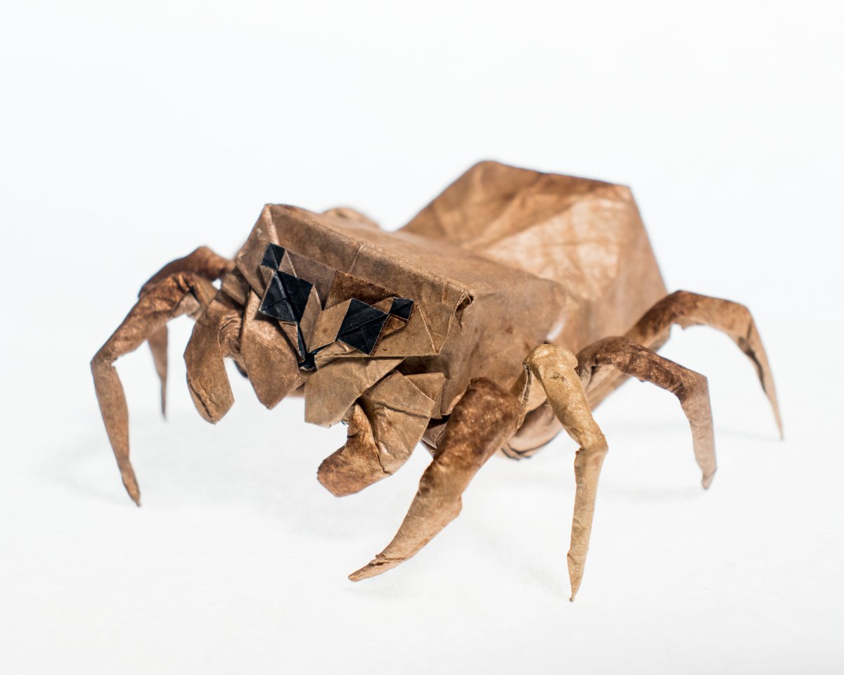 bodo_ori's tweet image. Jumping spider, designed and folded by me. 
55x55 cm Kumo-foil-tissue (applied partially to save thickness) 
22.5 degrees