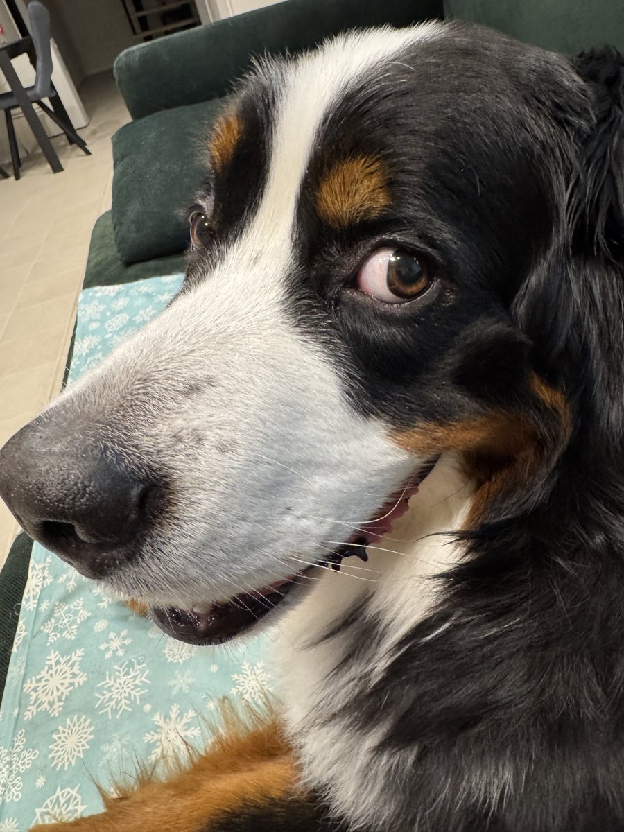 横から見てもはなながーい