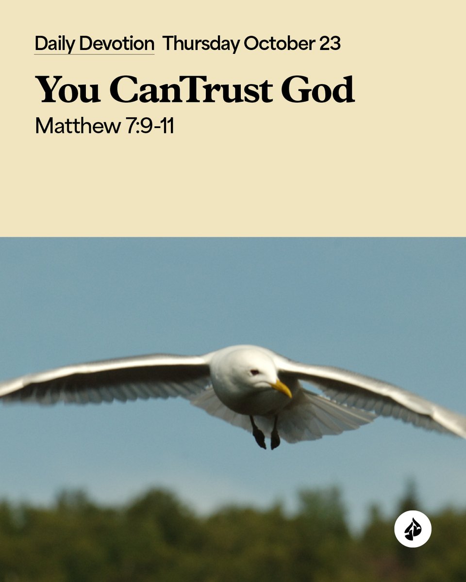 InTouchMin's tweet image. In troubling seasons, trust the Lord to provide all you need. #Devotional 
intouch.org/read/daily-dev…