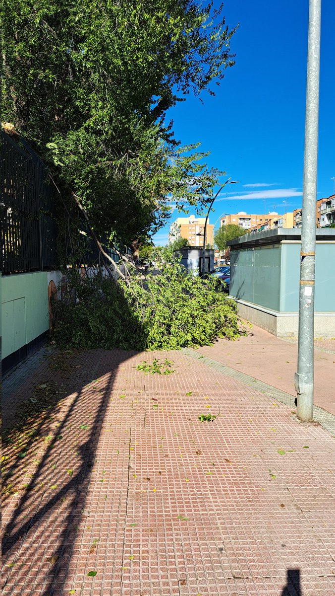 Asociación de Vecinos Cisneros tweet media