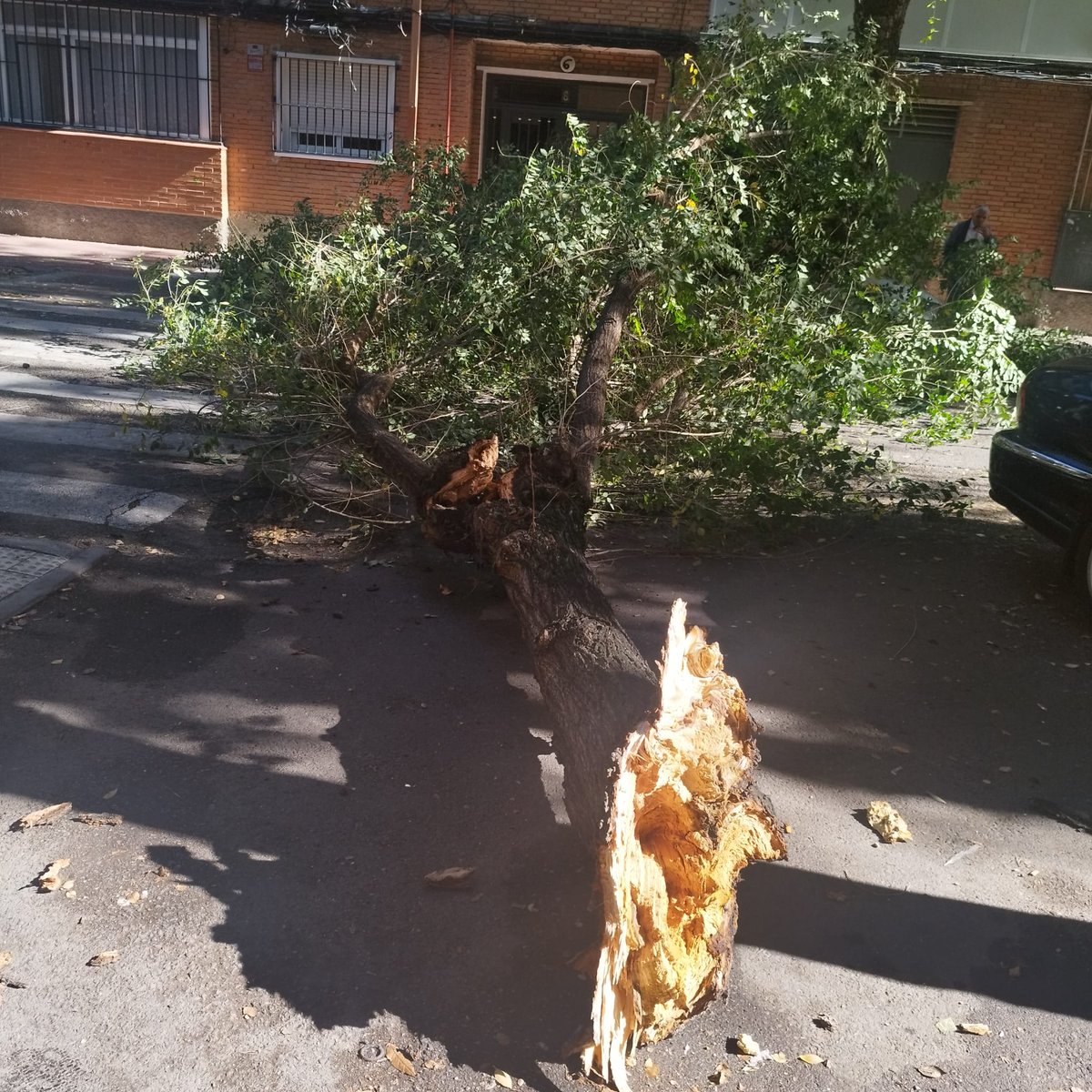 Asociación de Vecinos Cisneros tweet media