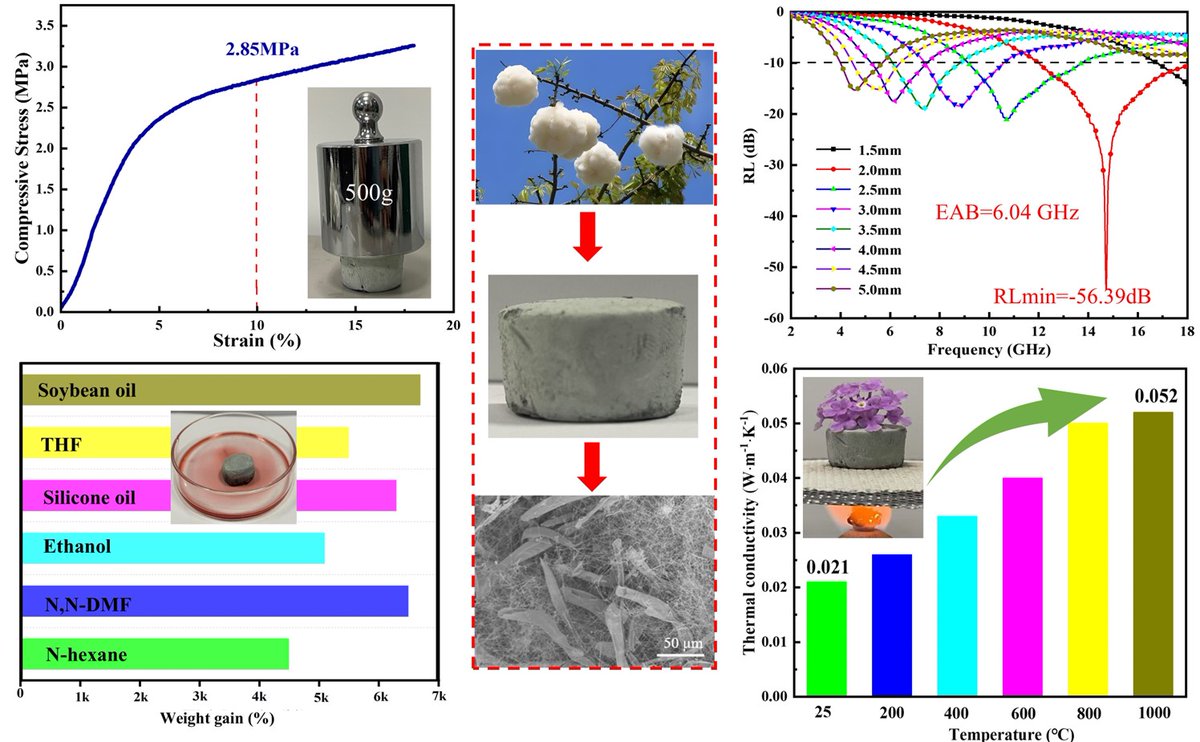 SciOpenTUP (@sciopentup) on Twitter photo 🌿From kapok fibers to high-tech aerogels!Researchers made a hierarchical SiC microtube/nanowire aerogel via in situ conversion, achieving −56.39 dB EM absorption, 2.85 MPa strength & superior insulation.
🔗sciopen.com/article/10.265…
#MaterialsScience #Aerogels <a href="/Tsinghua_Uni/">Tsinghua University</a> 🌿From kapok fibers to high-tech aerogels!Researchers made a hierarchical SiC microtube/nanowire aerogel via in situ conversion, achieving −56.39 dB EM absorption, 2.85 MPa strength & superior insulation.
🔗sciopen.com/article/10.265…
#MaterialsScience #Aerogels <a href="/Tsinghua_Uni/">Tsinghua University</a>