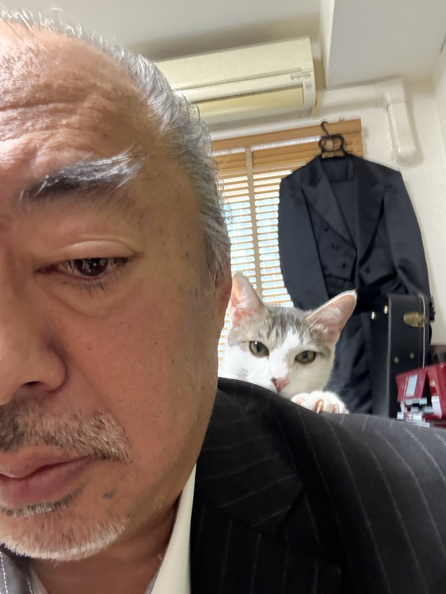 ononnon's tweet photo. 朝の猫（サバ、オス）との戯れ(笑) https://t.co/EYkhk42go5
