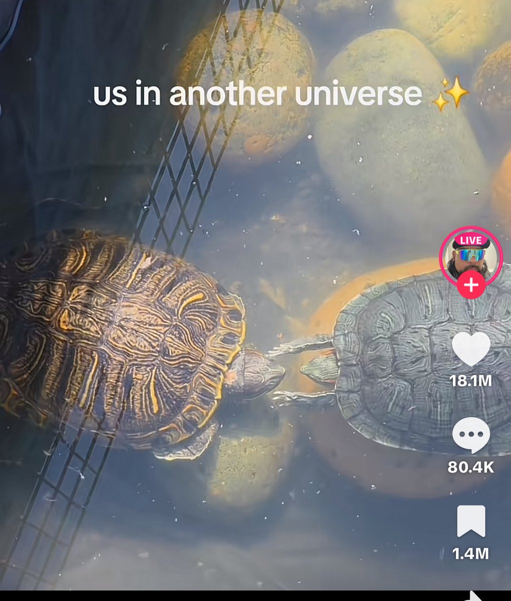 tsuki24x's tweet image. @PoorGoat_ you should grab a bag of $US 

viral meme on TK 

CtdTzNYaEan8dGMatQs6Ge5wSZGCVEFWsbnHm5ypump

vt.tiktok.com/ZSUnnQKWg/