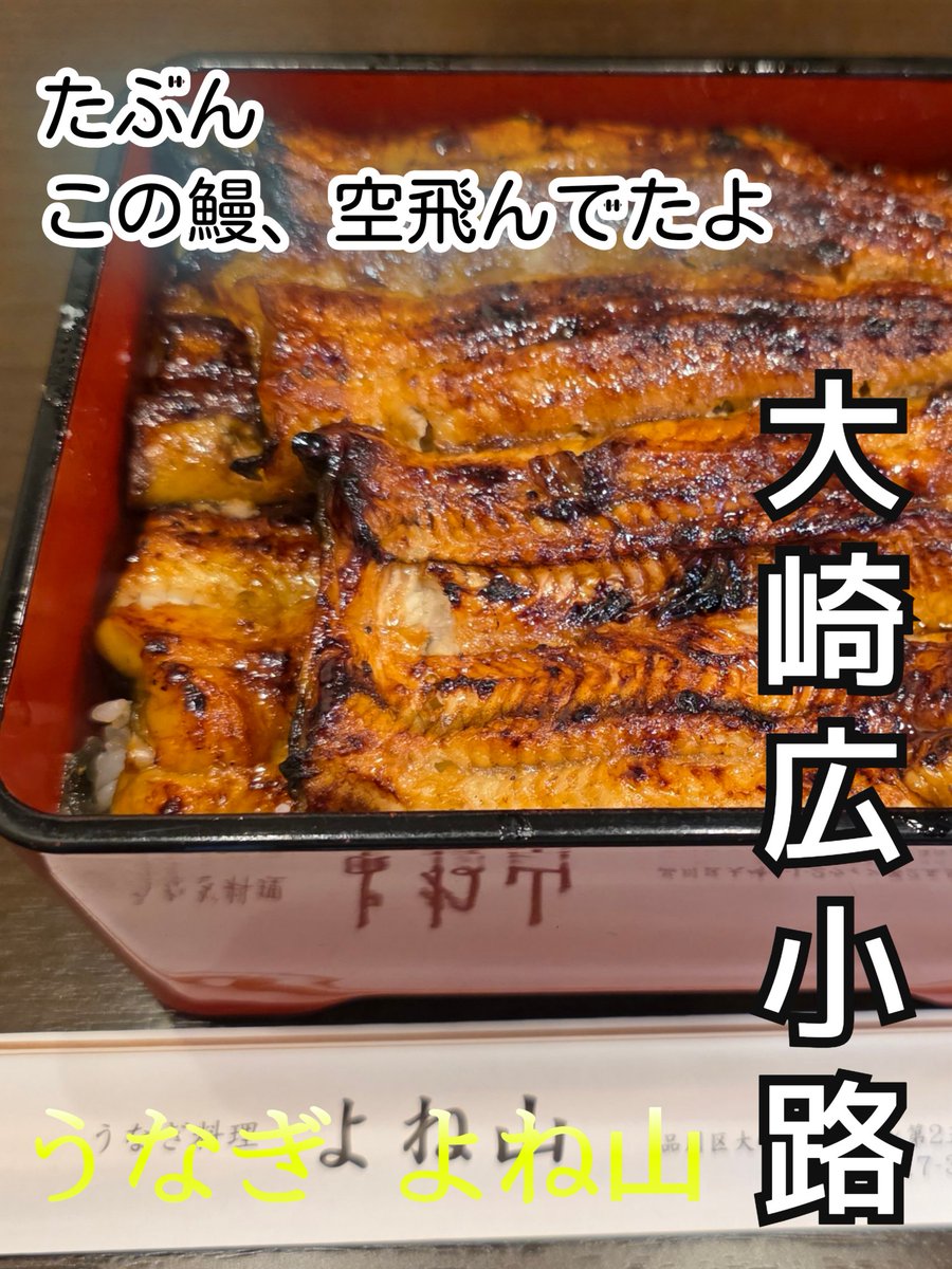 大崎広小路 うなぎ よね山
レビューしました。
フワフワな鰻、この鰻お空飛んでた。
instagram.com/p/DQJkw3ckt2f/…