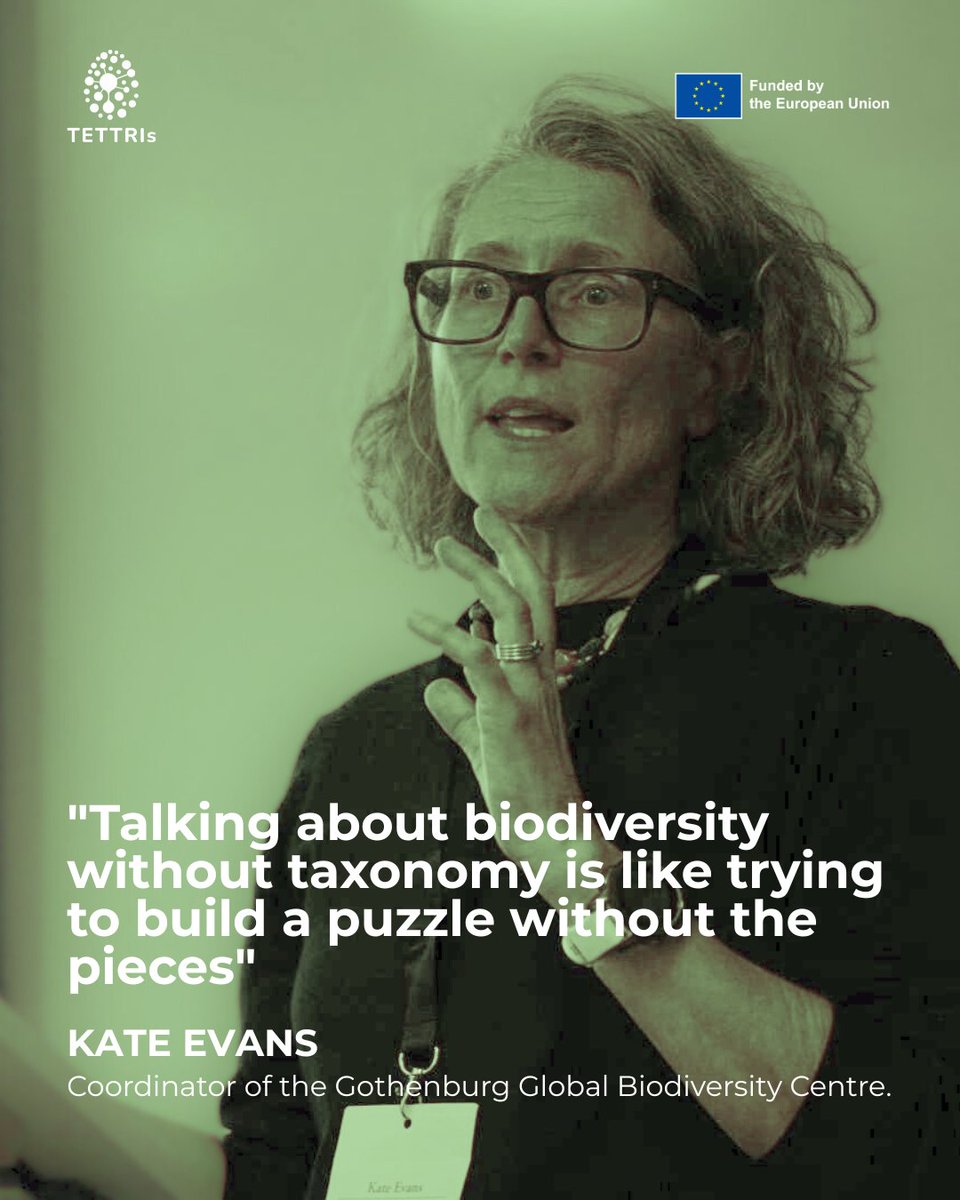 "Talking about #biodiversity without #taxonomy is like trying to build a puzzle without the pieces"

Kate Evans works at the Gothenburg Global Biodiversity Centre. In TETTRIs, she is leading the task of writing a blueprint for building taxonomic capacity.