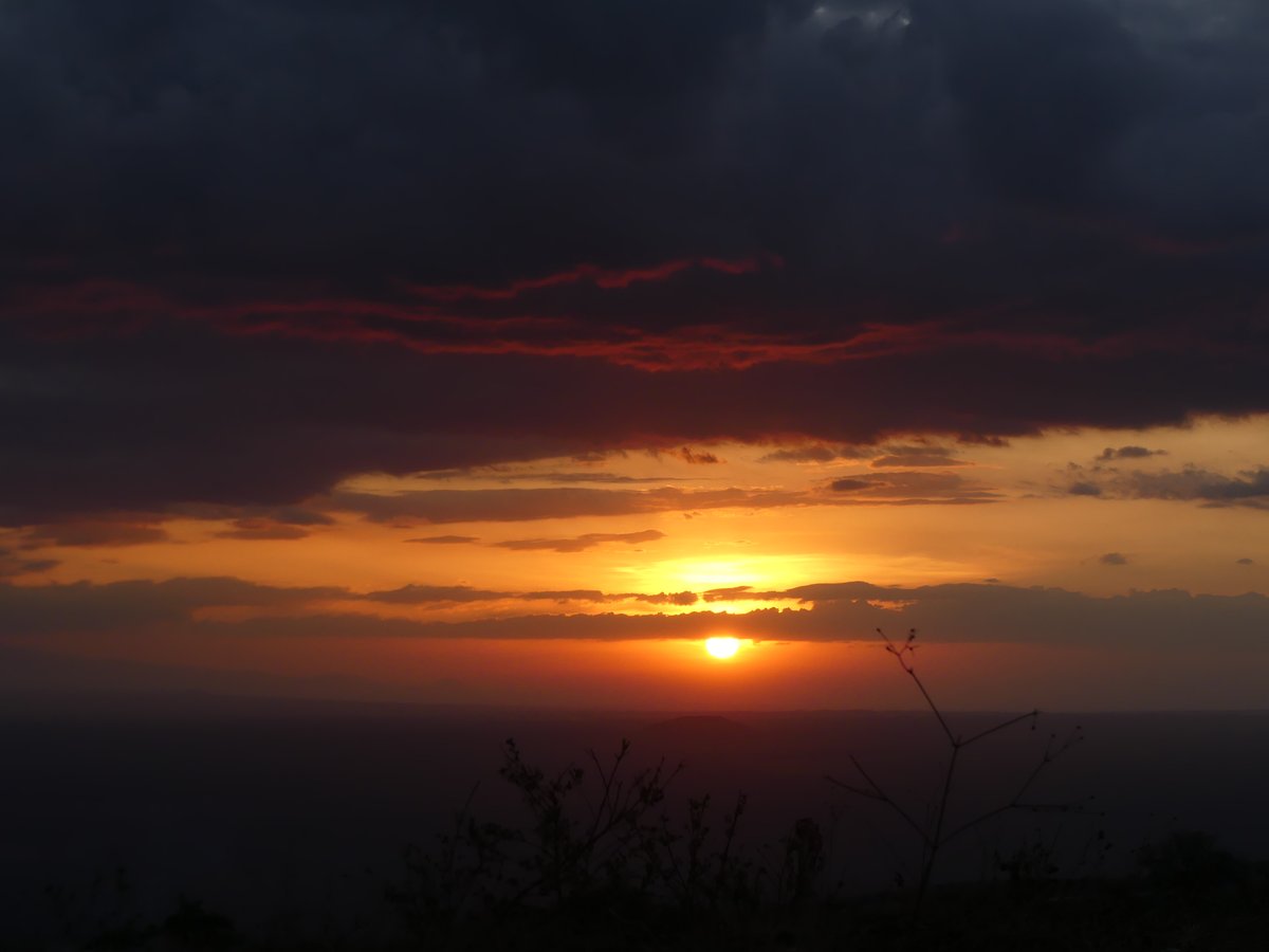 PhotosForTrees's tweet image. The Southern Kajiado sun