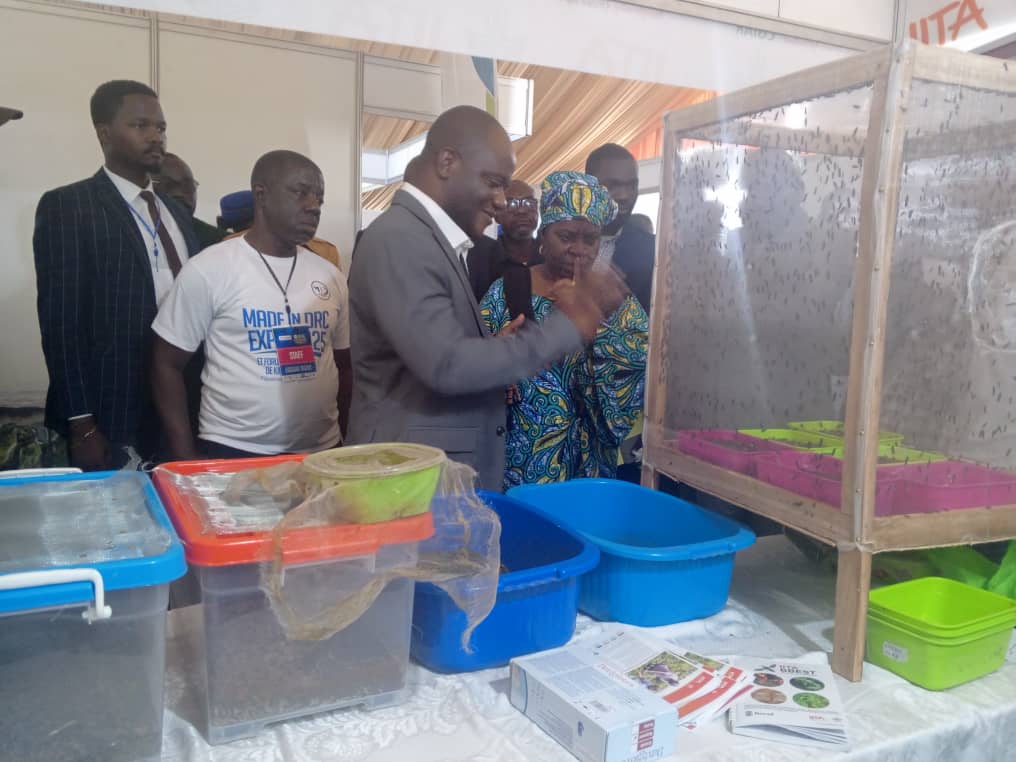 @IITA BBEST Project tweet media