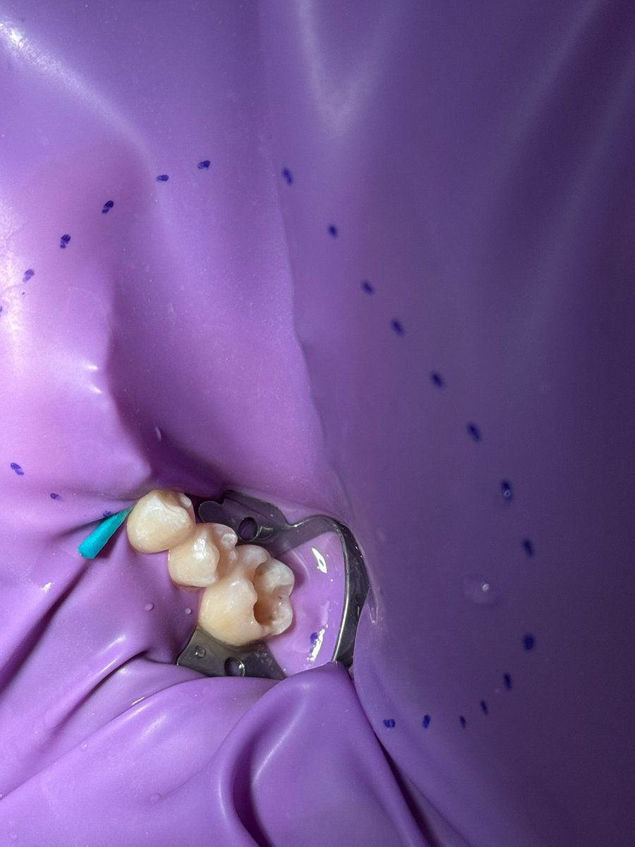 DENT444 | PSAU tweet media