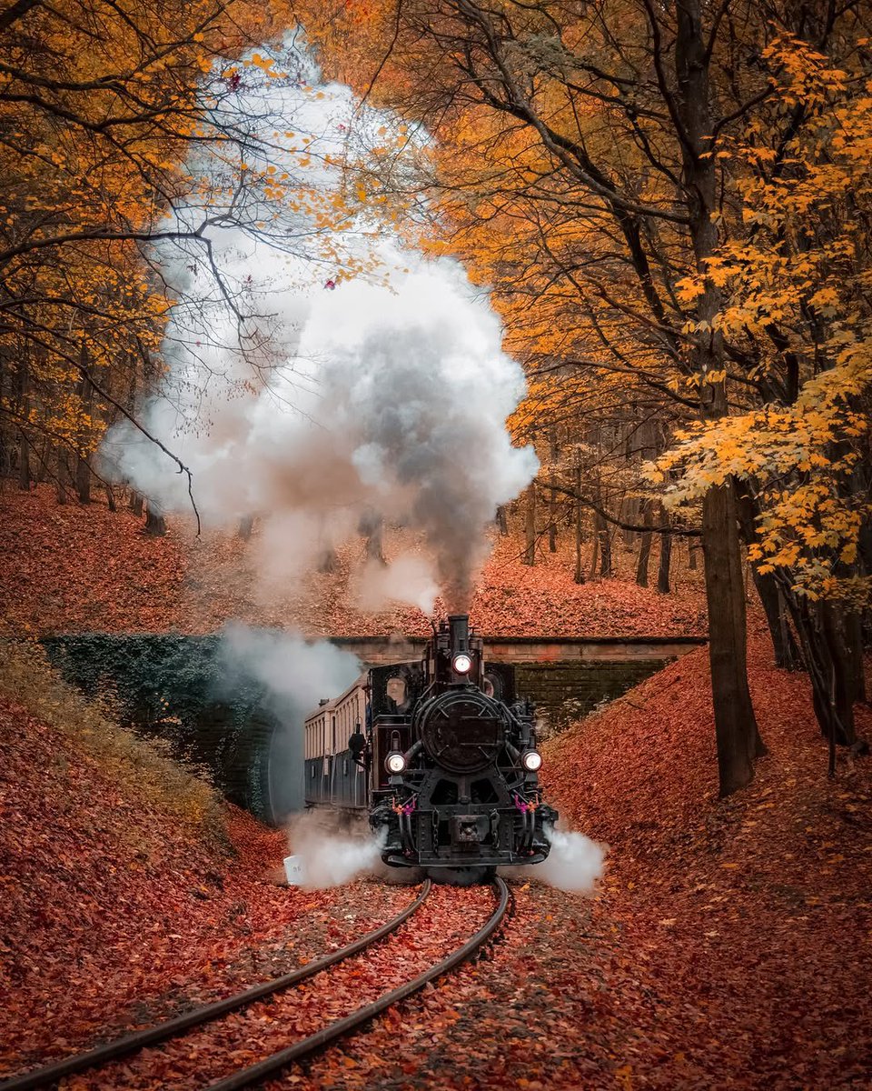 JeanetteEliz's tweet photo. Hello Everyone! ❤️🧡🍁🍂 Have a beautiful day 💞🌸💕 https://t.co/lkzLaqg4lW
