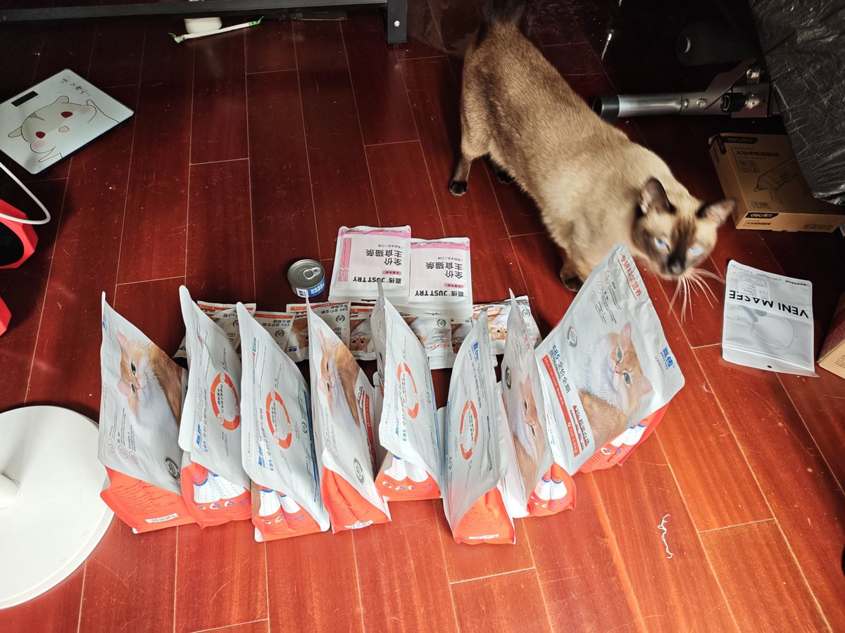 zejiang4's tweet photo. The cat is inspecting its food. https://t.co/yBuD86xQAg