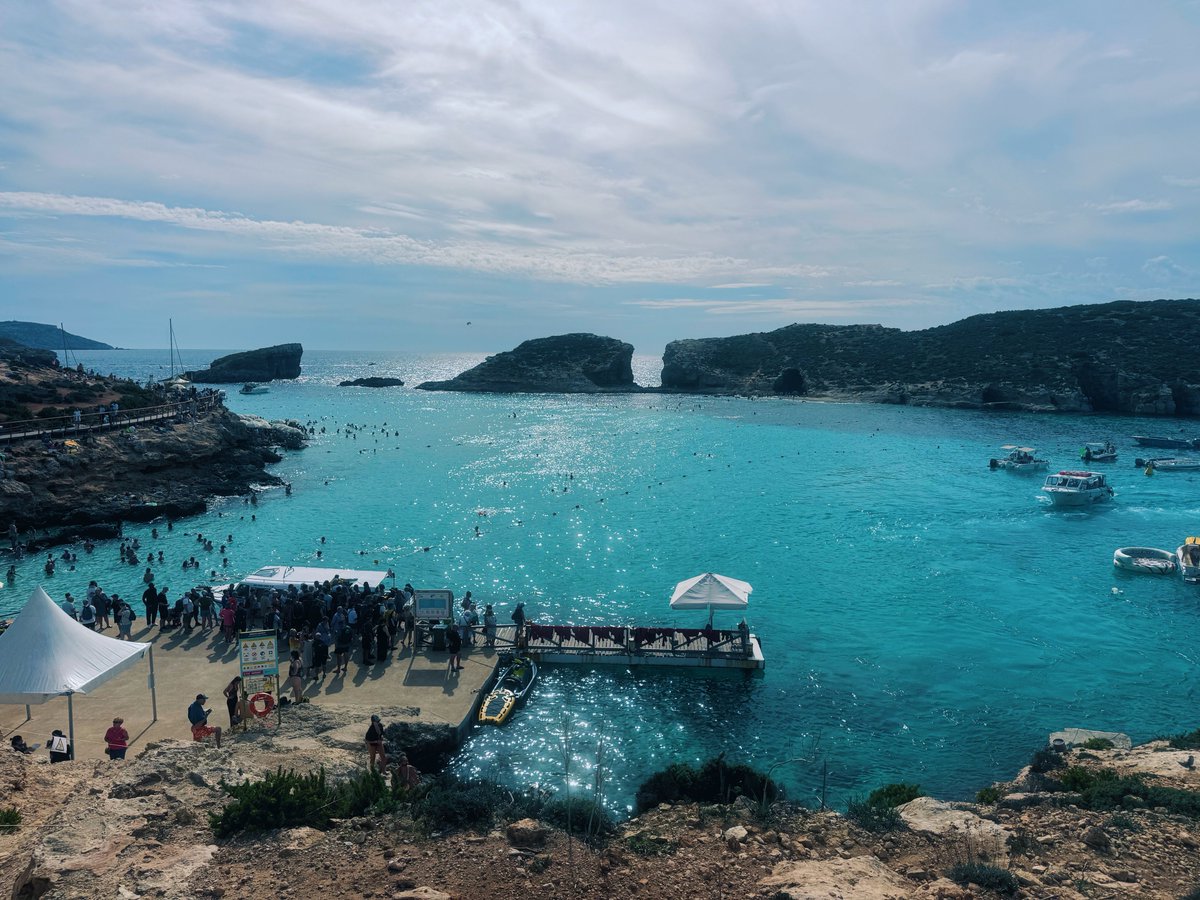 Dominique Gilbert tweet media