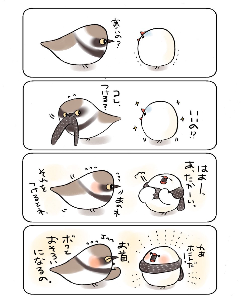 コチドリとぶんちょ