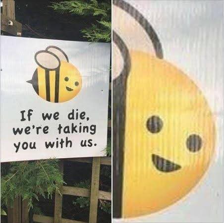 🐝 🐝 🐝 🐝 🐝 🐝 🐝 🐝 🐝 🐝 🐝 🐝