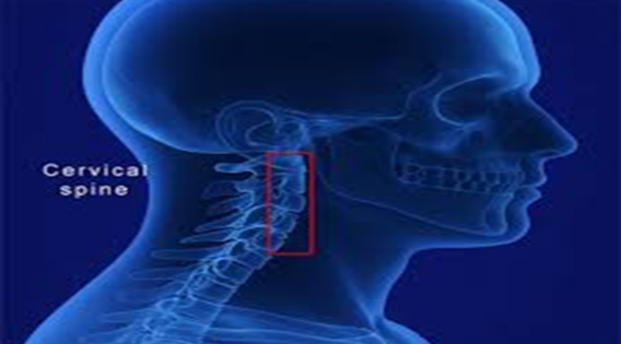Leading Cervical Spine Surgeons in Kolkata for Best Care - apsense.com/article/862167… 

#CervicalSpineSurgeon #cervicalspineneurosurgeon #cervicalspinesurgery #DiscReplacementSurgery #cervicaldiscreplacement #cervicalspinesurgery