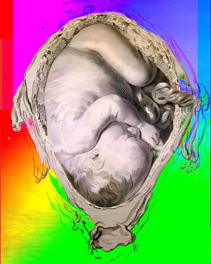 MrPitbull07's tweet image. When pregnant, the cells of the baby migrate into the mothers bloodstream and then circle back into the baby, it’s called “fetal-maternal microchimerism”.
For 41 weeks, the cells circulate and merge backwards and forwards, and after the baby is born, many of these cells stay in…