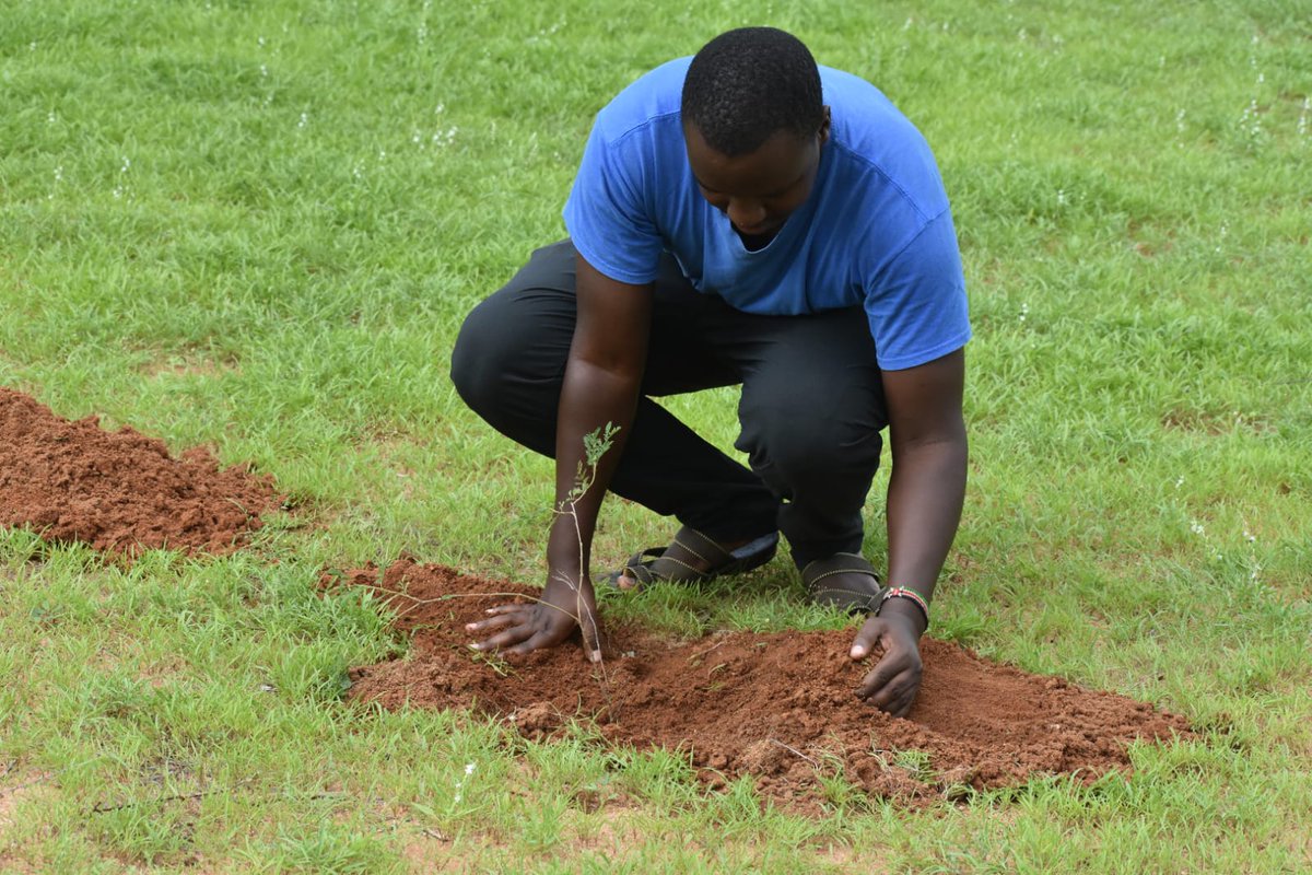 Somali Giraffe Project tweet media
