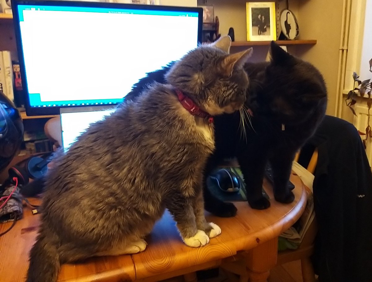 #ThrowbackThursday I wish me and Thruxton had a close relationship like me and Cadwell had 😿♥️ Oulton