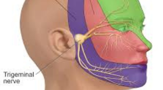 The Role of Surgery in Treating Trigeminal Neuralgia: Expert Neurosurgeon Opinion - apsense.com/article/859769…

#trigeminalneuralgia #trigeminalneuralgiaspecialist #trigeminalneuralgiatreatment #TrigeminalNeuralgiaAwareness #TheSuicideDisease #neurosurgeon #neurosurgery