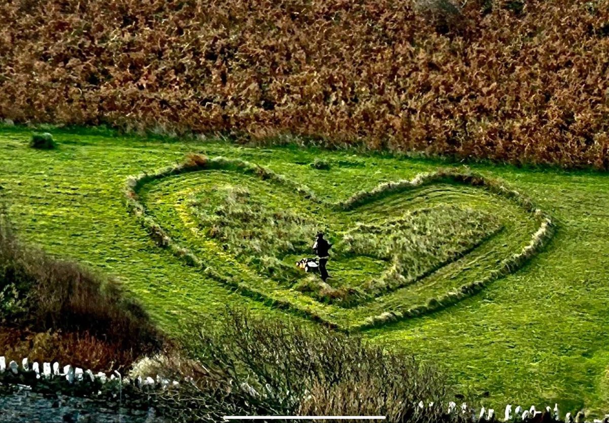 Have you mowed your lawn today ?