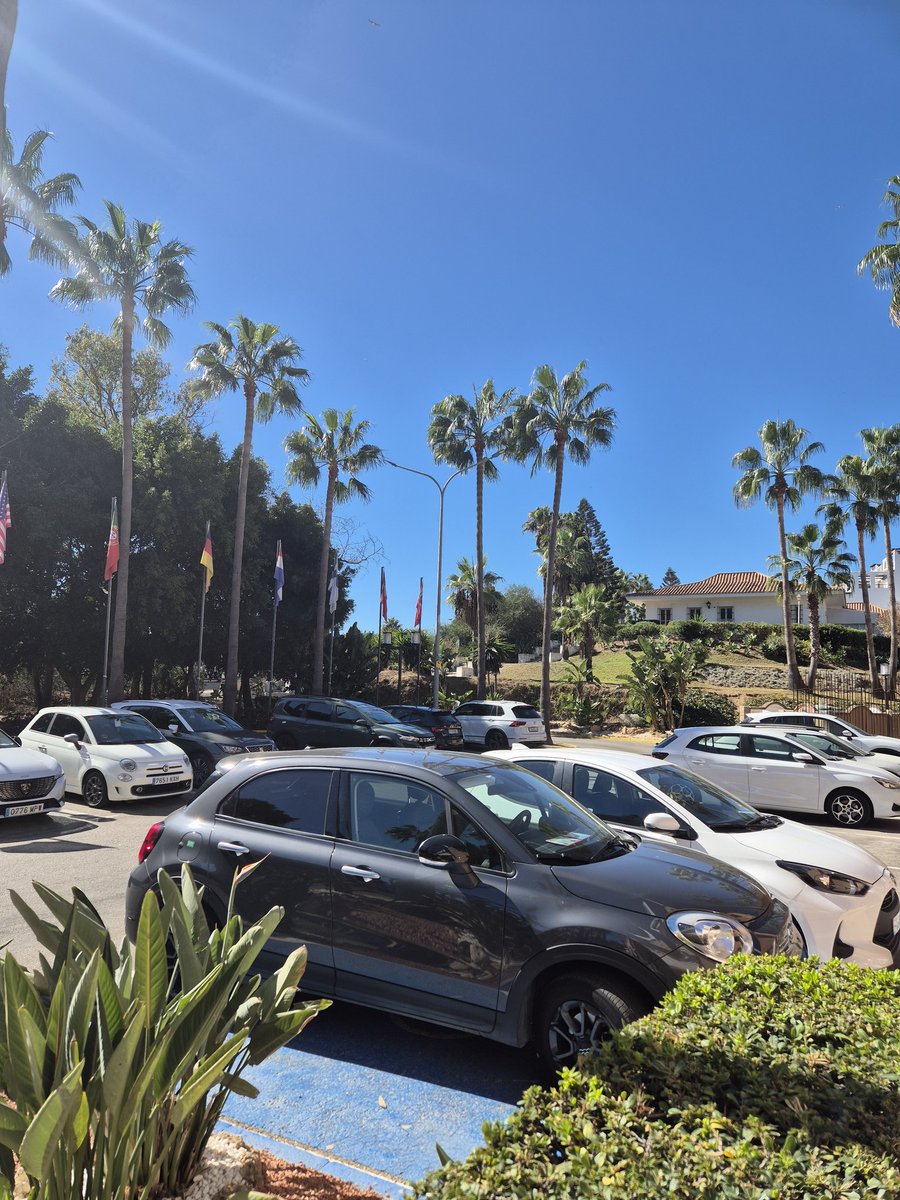 fonforest's tweet image. Arrived in Porto, cant wait for the game 

Uuuuuuuuuuu reds