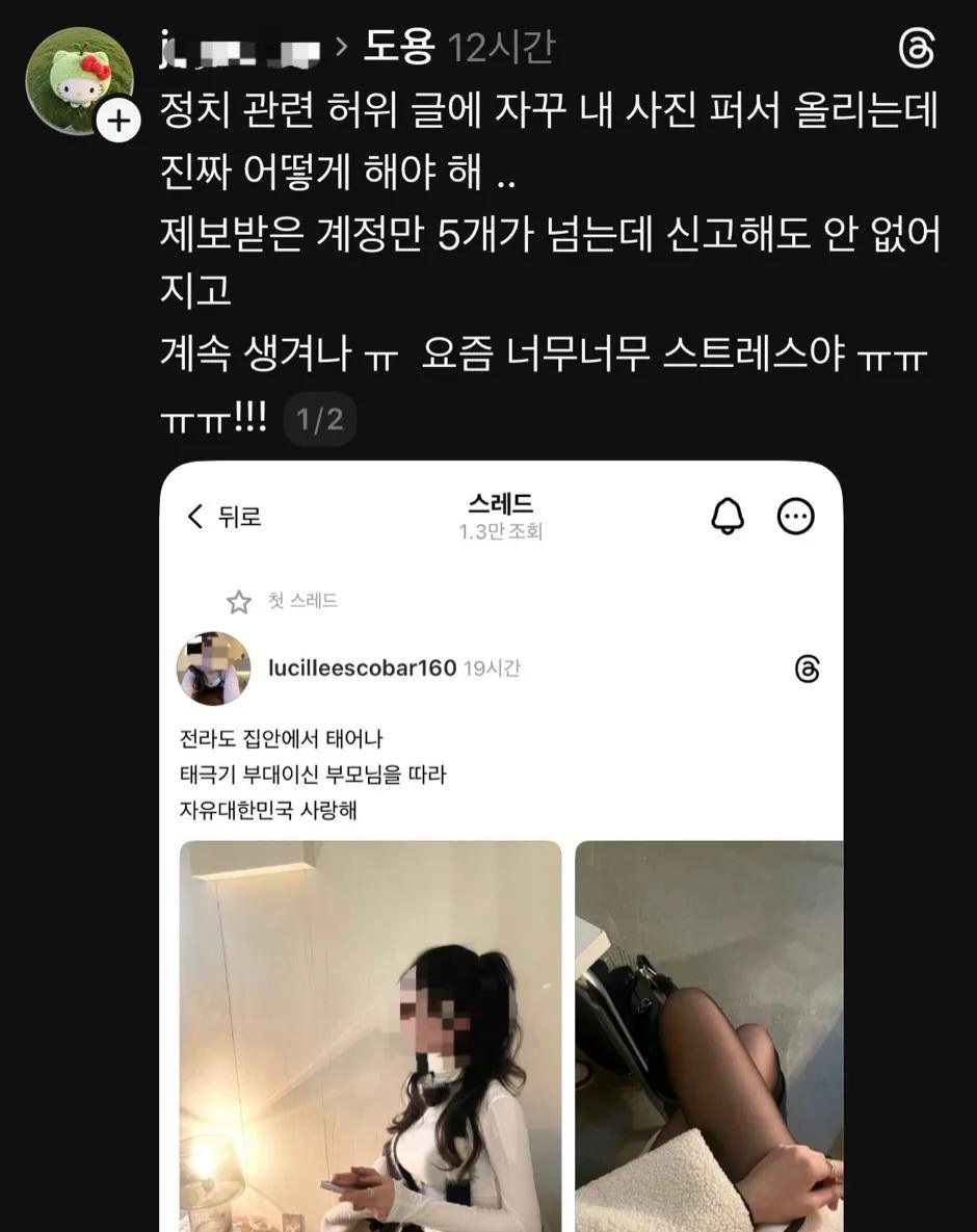 극우들이 여성 사진을 도용해 극우적인 내용을 게시하는 사례가 자주 발견된다. 여성을 도구화하고 체제 선전 도구로 활용하는 건 독재와 극우가 공유하는 특징. 이런 작업은 대체 누가 하는 걸까.