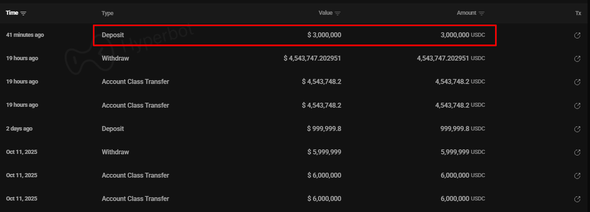 HyperLiquid에 $300만 USDC 입금 내역을 보여주는 거래 기록