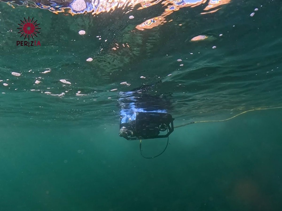 PeriziaPleamar tweet media