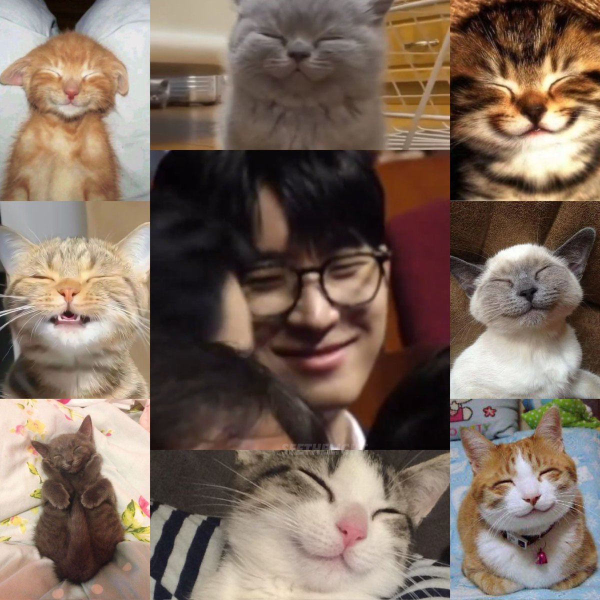 wonwoo is so meow meow 🥹

#WONWOO #원우