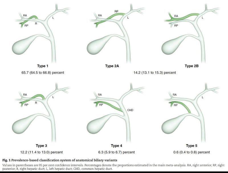 EndoCollab™ | GI Endoscopy Community tweet media