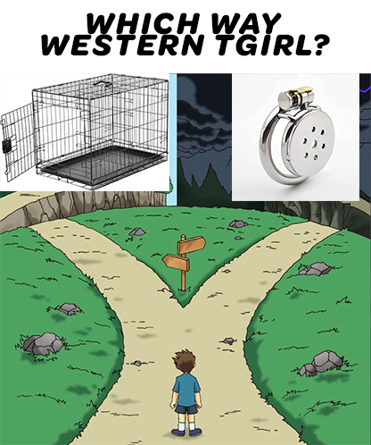 🏳️‍⚧️Trash tweet media