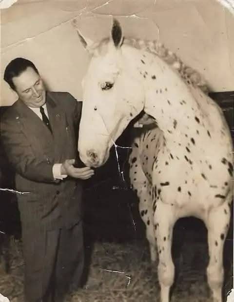 “Prefiero haber tratado de defender a la Argentina antes que ganarme el amor de los hermanitos del Norte”

Juan Domingo Perón 🇦🇷