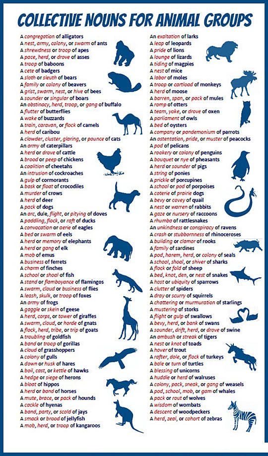 Hope your eyesight is better than mine as this is a good chart!