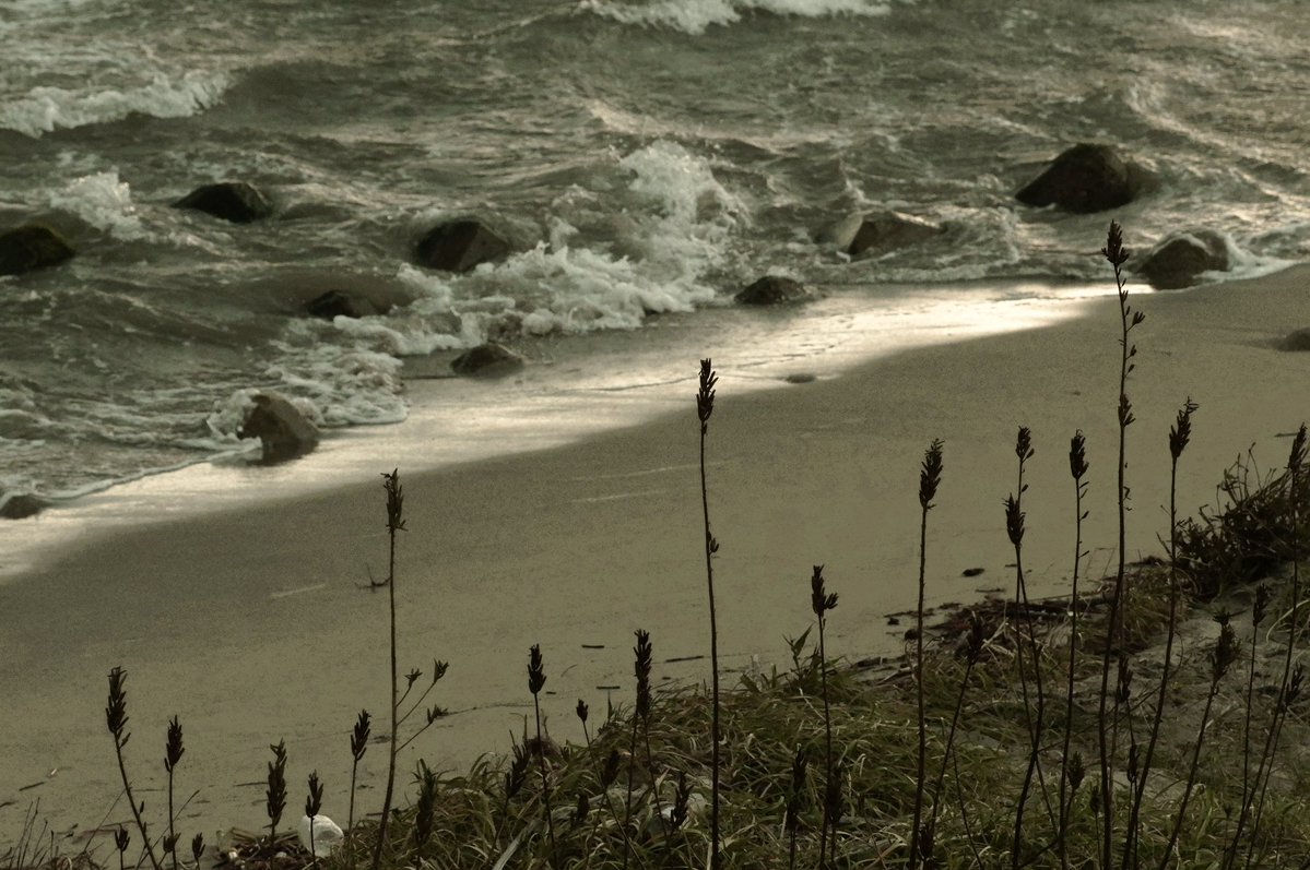 gaolang3c's tweet image. 秋の浜辺
SIGMA fp L & Lumix S 24-105 F4 Macro O.I.S
#naturephotography #naturelovers #sigmafpl #sigma #beach #beachlife