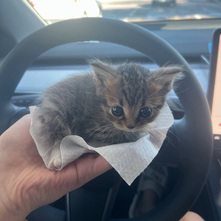 Okay everyone, let's have some fun - life is too short!
👇
You have to name him the last thing you ate