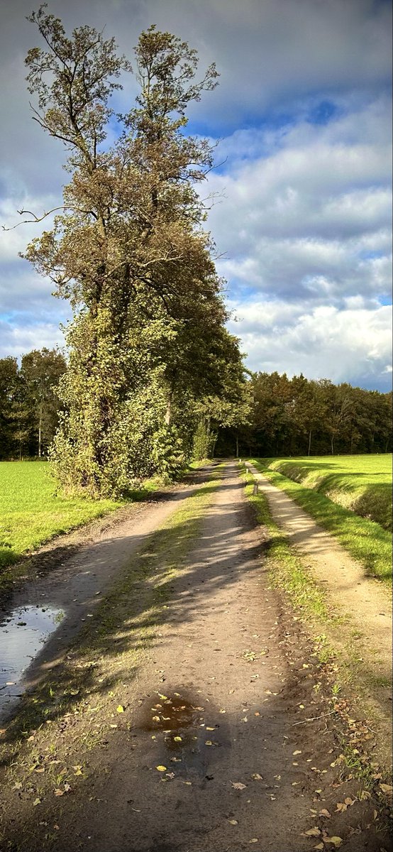 #hardlopen #running🏃‍♂️