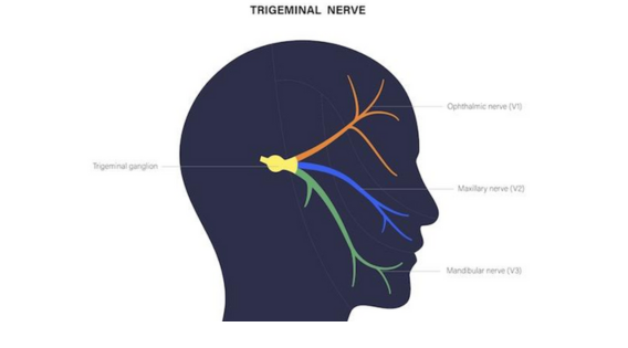 Achieving Long-term Pain Relief for Trigeminal Neuralgia (Suicide Disease): Expert Insights apsense.com/article/854152…

#trigeminalneuralgia #trigeminalneuralgiaspecialist #trigeminalneuralgiatreatment #TrigeminalNeuralgiaAwareness #TheSuicideDisease #neurosurgeon #neurosurgery
