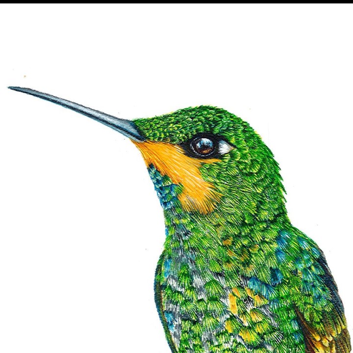 Laura Bernal tweet media