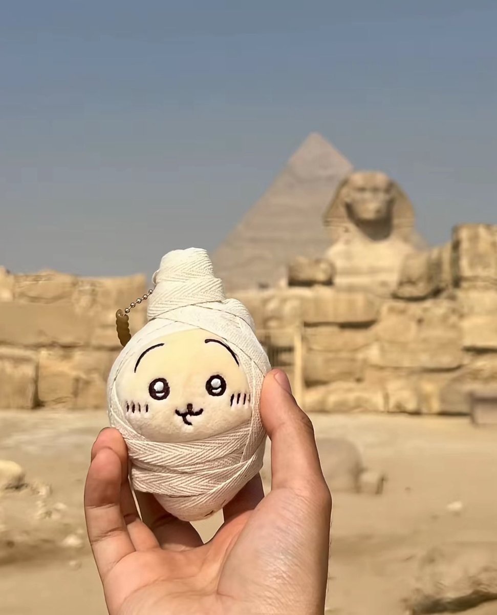 ぬこ (@nukonokonuko) / Posts / X