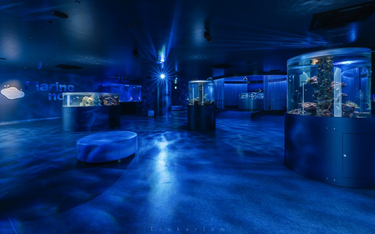 あイカ (@0n7o0a_5) / Posts / X