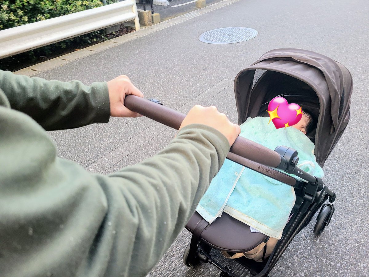 本日のぽこ太。

ごきげんさんぽ。

ミルクの飲む量を増やしてみてます。